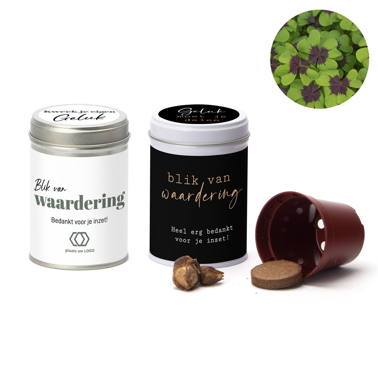 Klavertje vier kweeksetje in blikje - Zakelijk - Bedankjes.nl