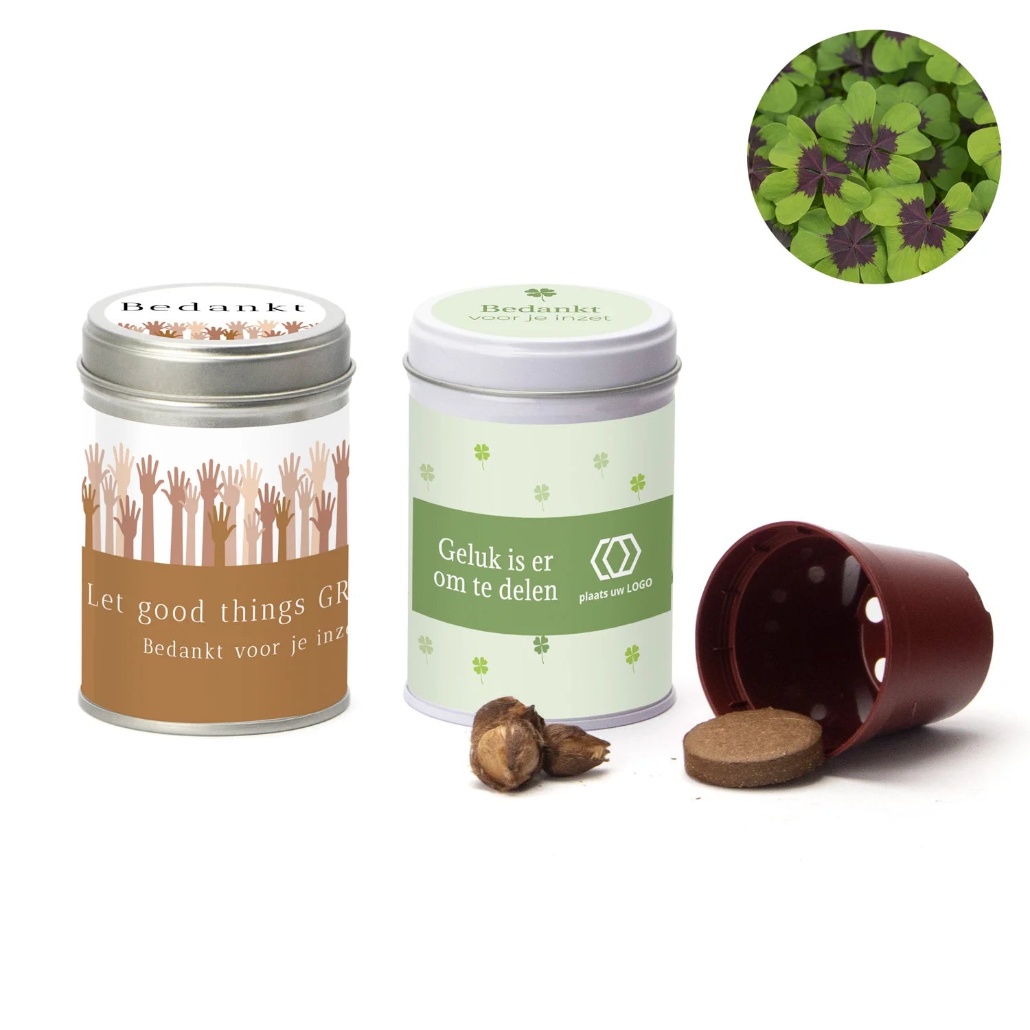Klavertje vier kweeksetje in blikje - Zakelijk
