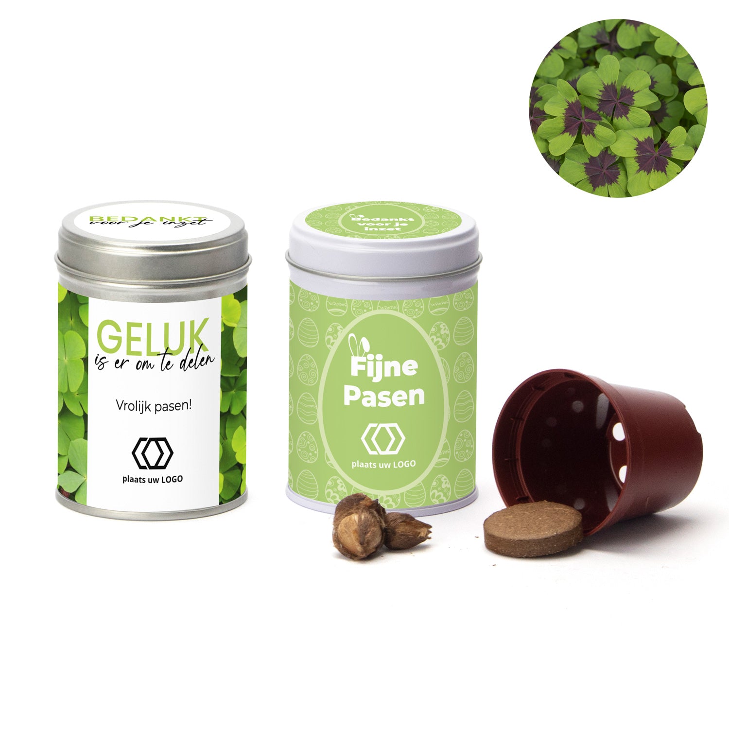 Klavertje vier kweeksetje in blikje - Pasen - Bedankjes.nl