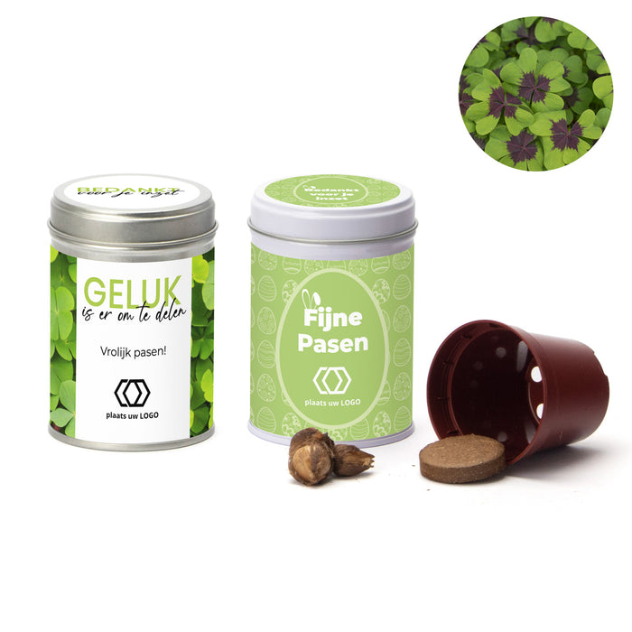 Klavertje vier kweeksetje in blikje - Pasen Klavertje vier kweeksetje in blikje - Pasen