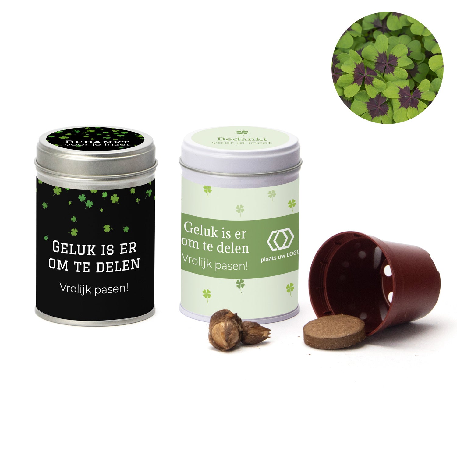 Klavertje vier kweeksetje in blikje - Pasen - Bedankjes.nl