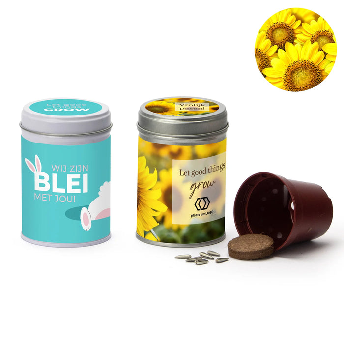 Zonnebloem kweeksetje met eigen wikkel - Pasen Zonnebloem kweeksetje met eigen wikkel - Pasen