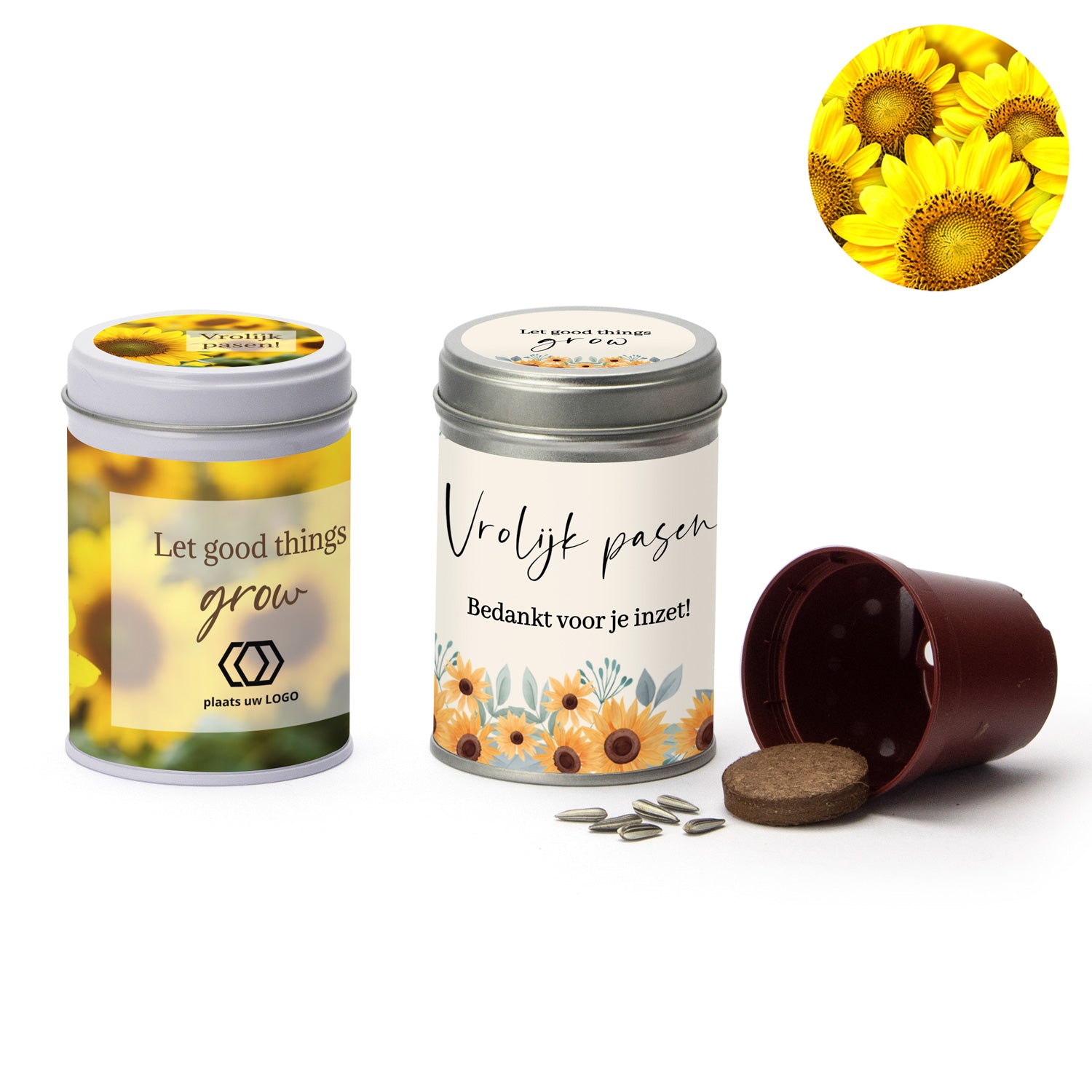 Zonnebloem kweeksetje met eigen wikkel - Pasen - Bedankjes.nl