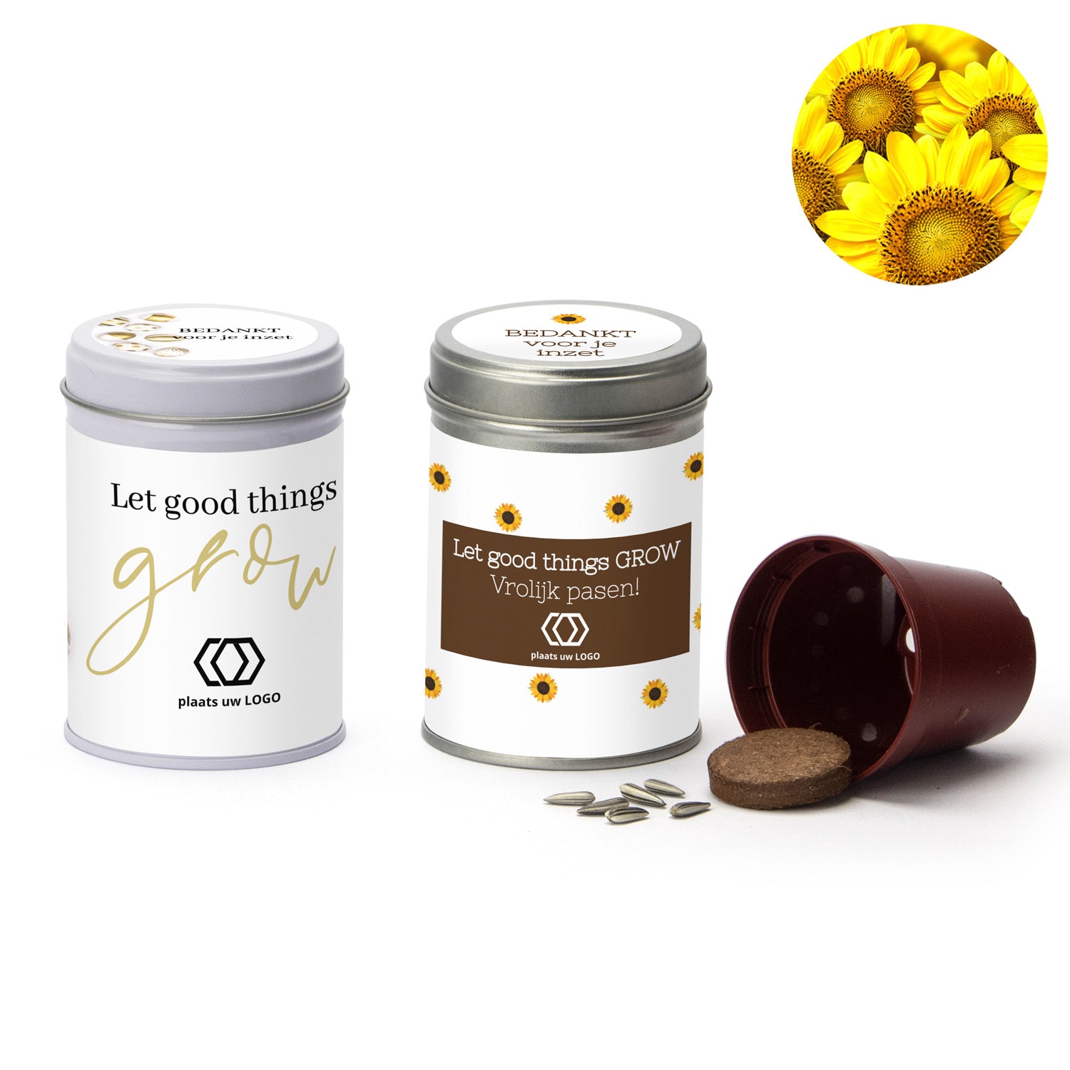 Zonnebloem kweeksetje met eigen wikkel - Pasen - Bedankjes.nl