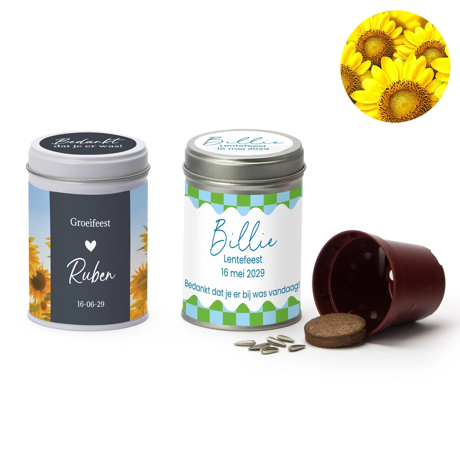 Zonnebloem in blikje - Communie jongens