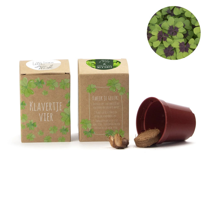 Klavertje vier kweekset met eigen etiket - Trouwen Klavertje vier kweekset met eigen etiket - Trouwen