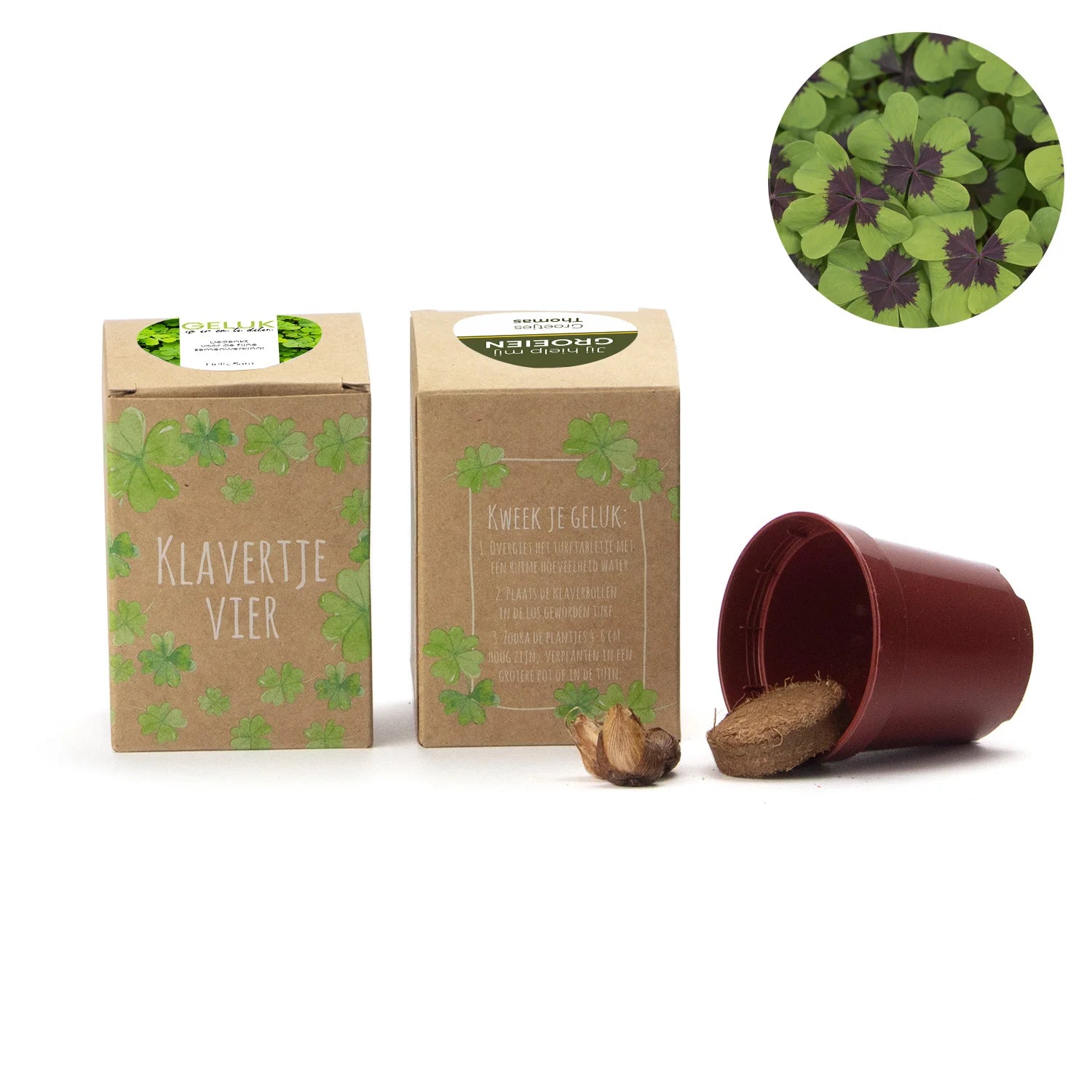 Klavertje vier kweekset met eigen etiket - Afscheid collega - Bedankjes.nl