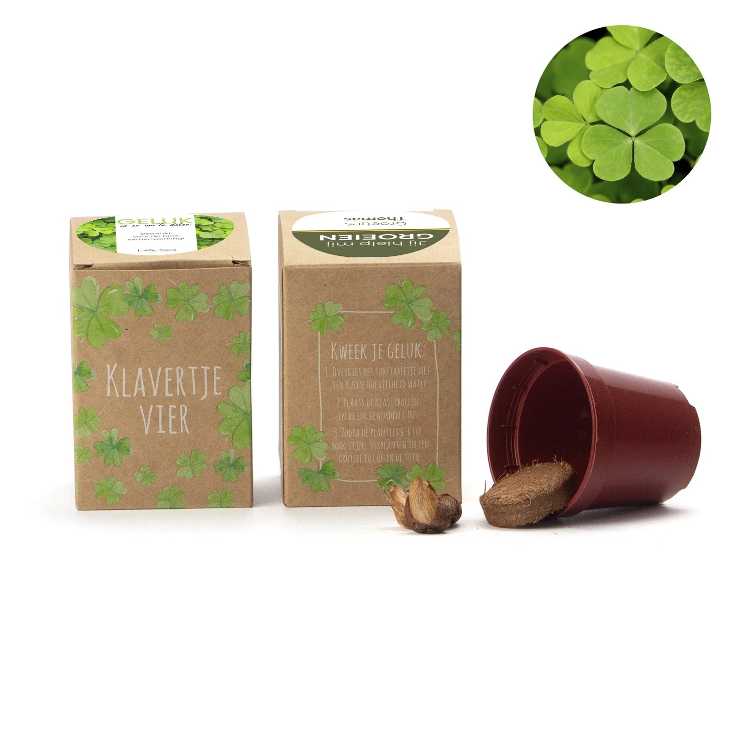 Klavertje vier kweekset met eigen etiket - Afscheid collega - Bedankjes.nl