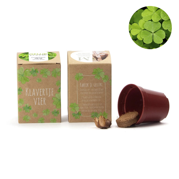 Klavertje vier kweekset met eigen etiket - Communie meisje Klavertje vier kweekset met eigen etiket - Communie meisje