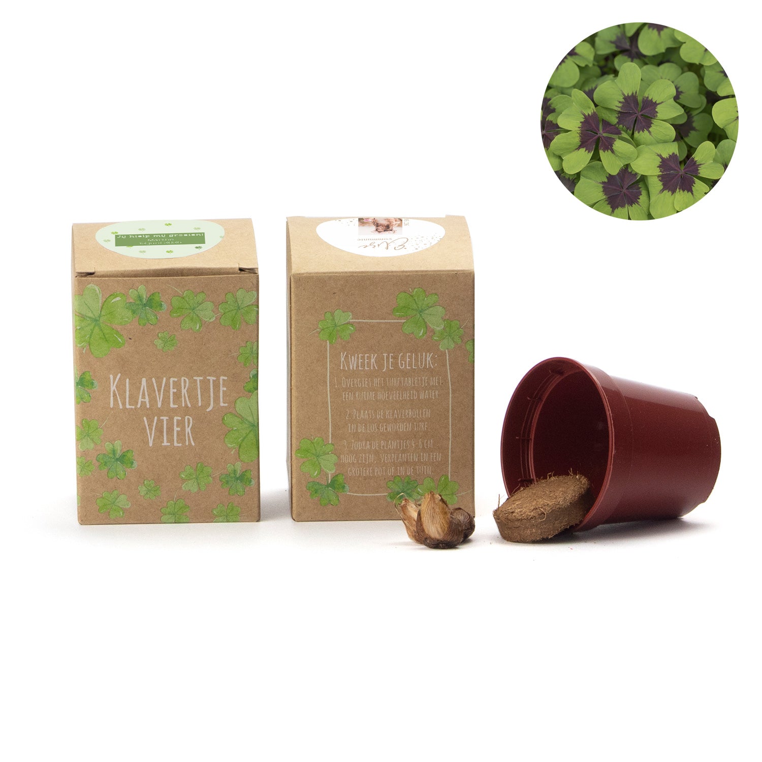 Klavertje vier kweekset met eigen etiket - Communie meisje - Bedankjes.nl