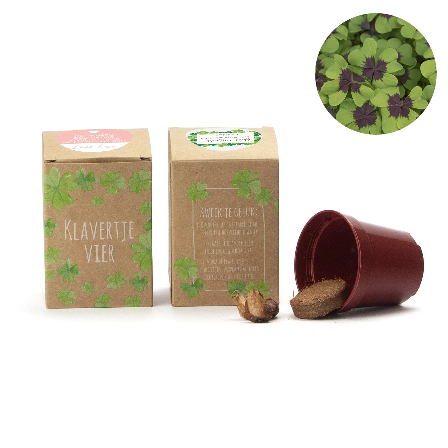 Klavertje vier kweekset met eigen etiket - Afscheid collega - Bedankjes.nl