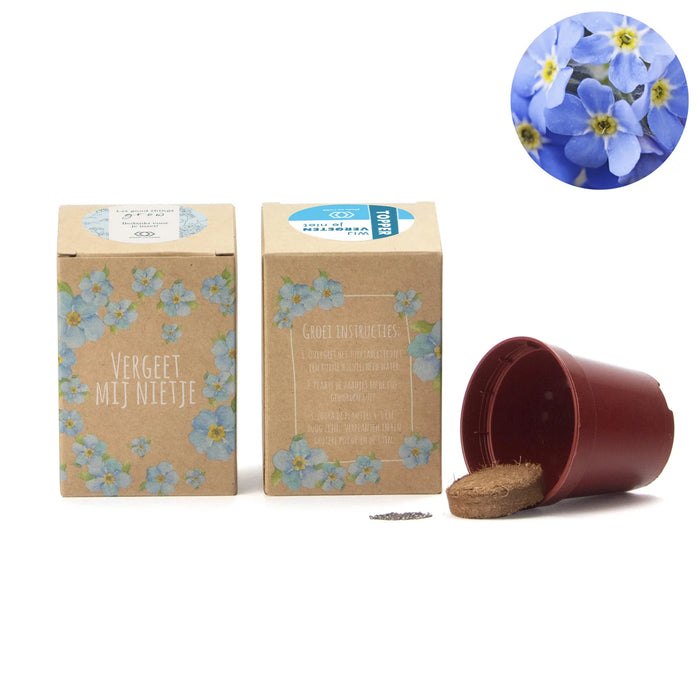 Vergeet mij nietjes kweekset met eigen etiket Vergeet mij nietjes kweekset met eigen etiket