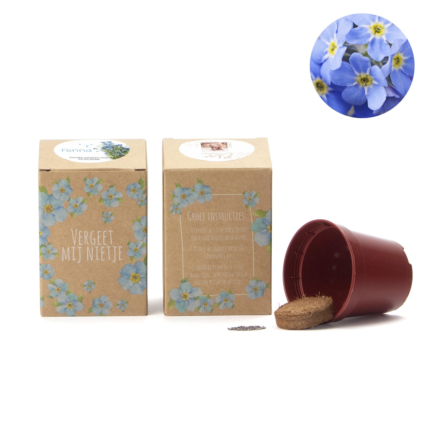 Vergeet mij nietjes kweekset met eigen etiket - Communie meisje - Bedankjes.nl