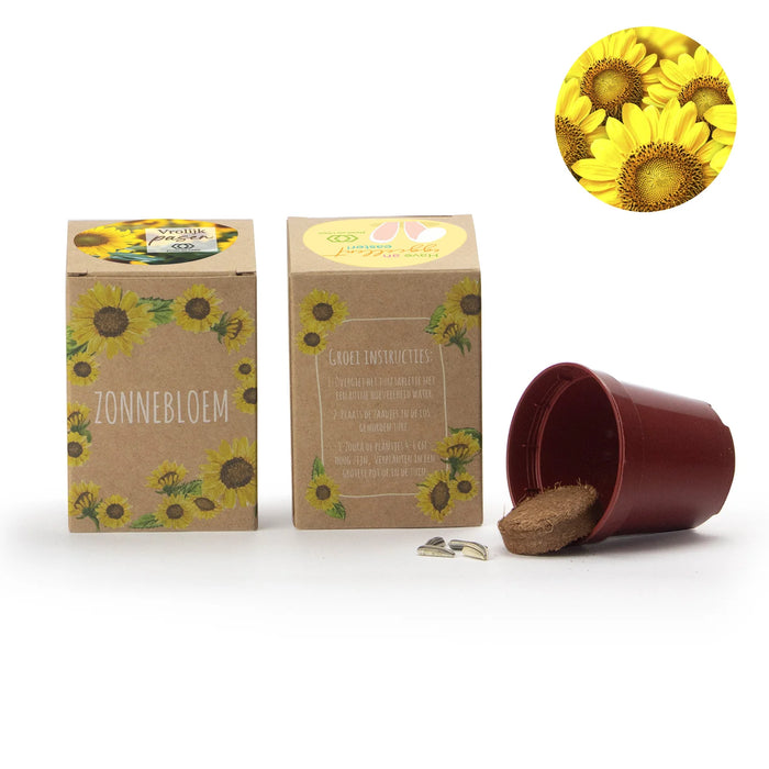 Zonnebloem kweekset met eigen etiket - Pasen Zonnebloem kweekset met eigen etiket - Pasen
