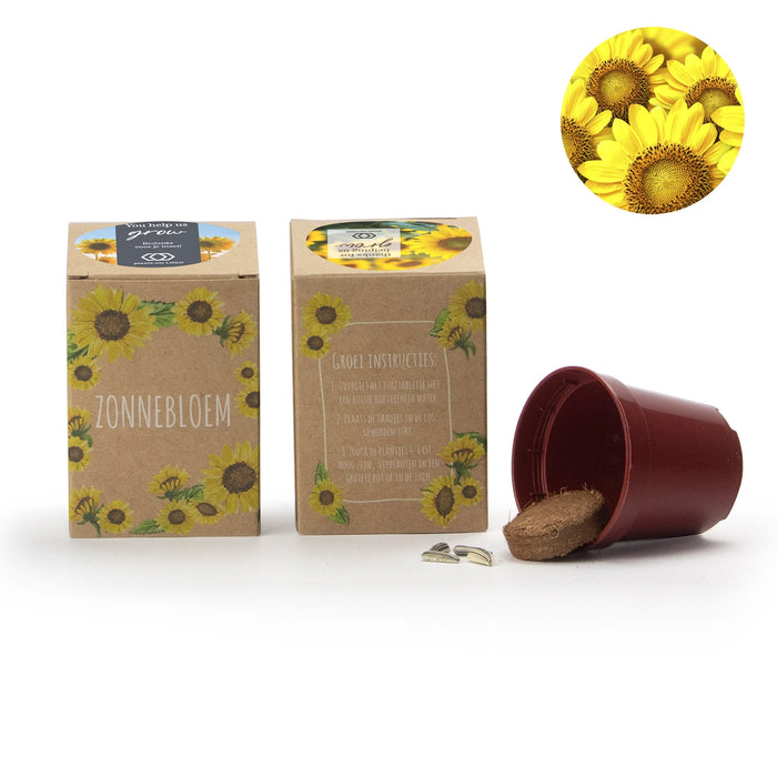 Zonnebloem kweekset met eigen etiket Zonnebloem kweekset met eigen etiket