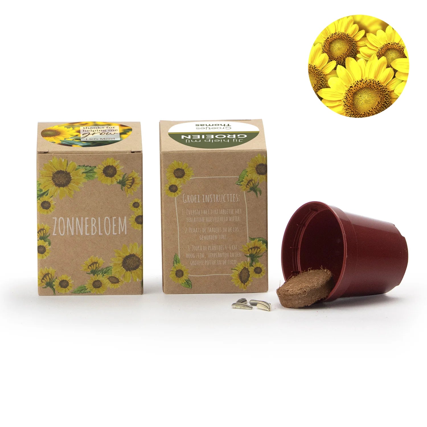 Zonnebloem kweekset met eigen etiket - Collega - Bedankjes.nl