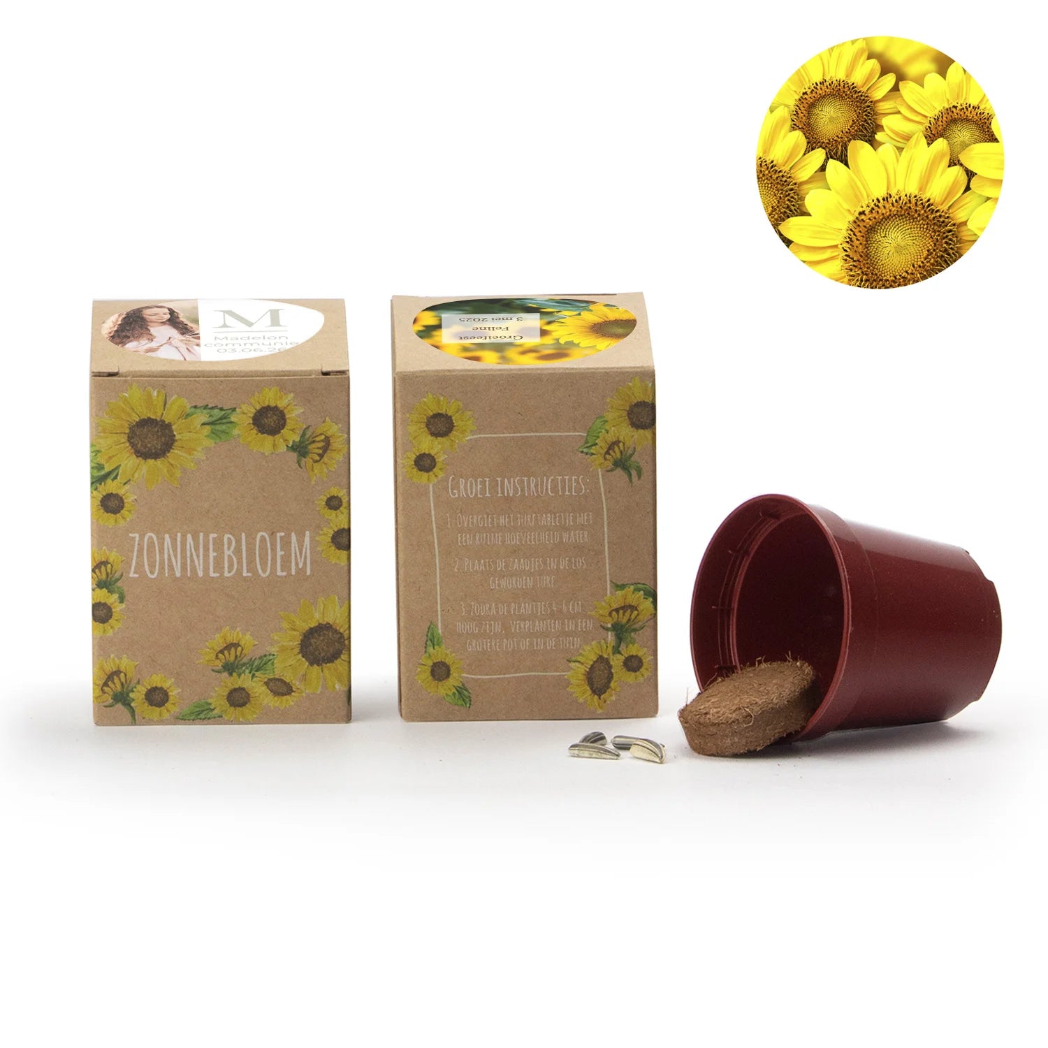 Zonnebloem kweekset met eigen etiket - Communie meisje - Bedankjes.nl