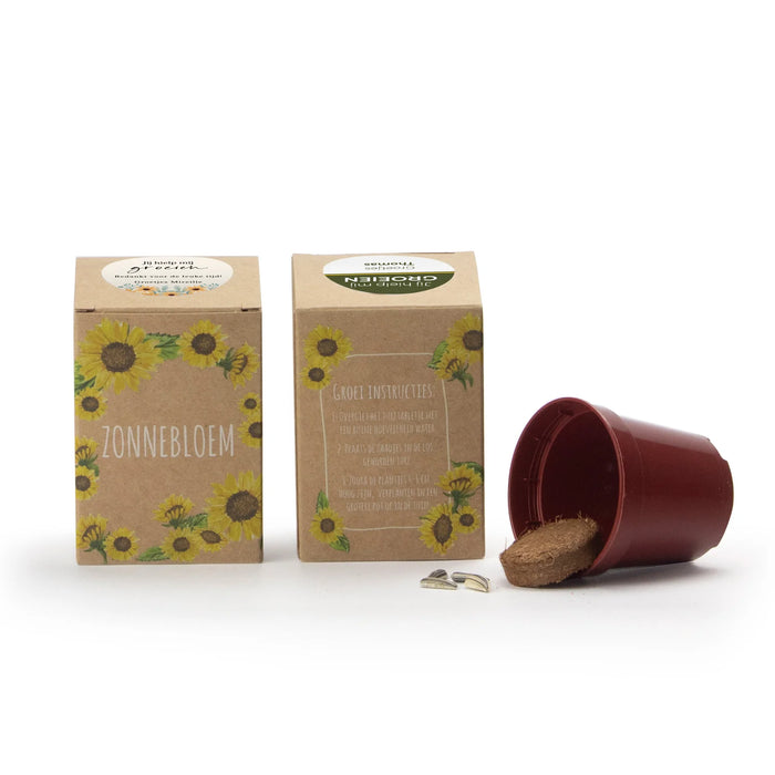 Zonnebloem kweekset met eigen etiket - Collega Zonnebloem kweekset met eigen etiket - Collega