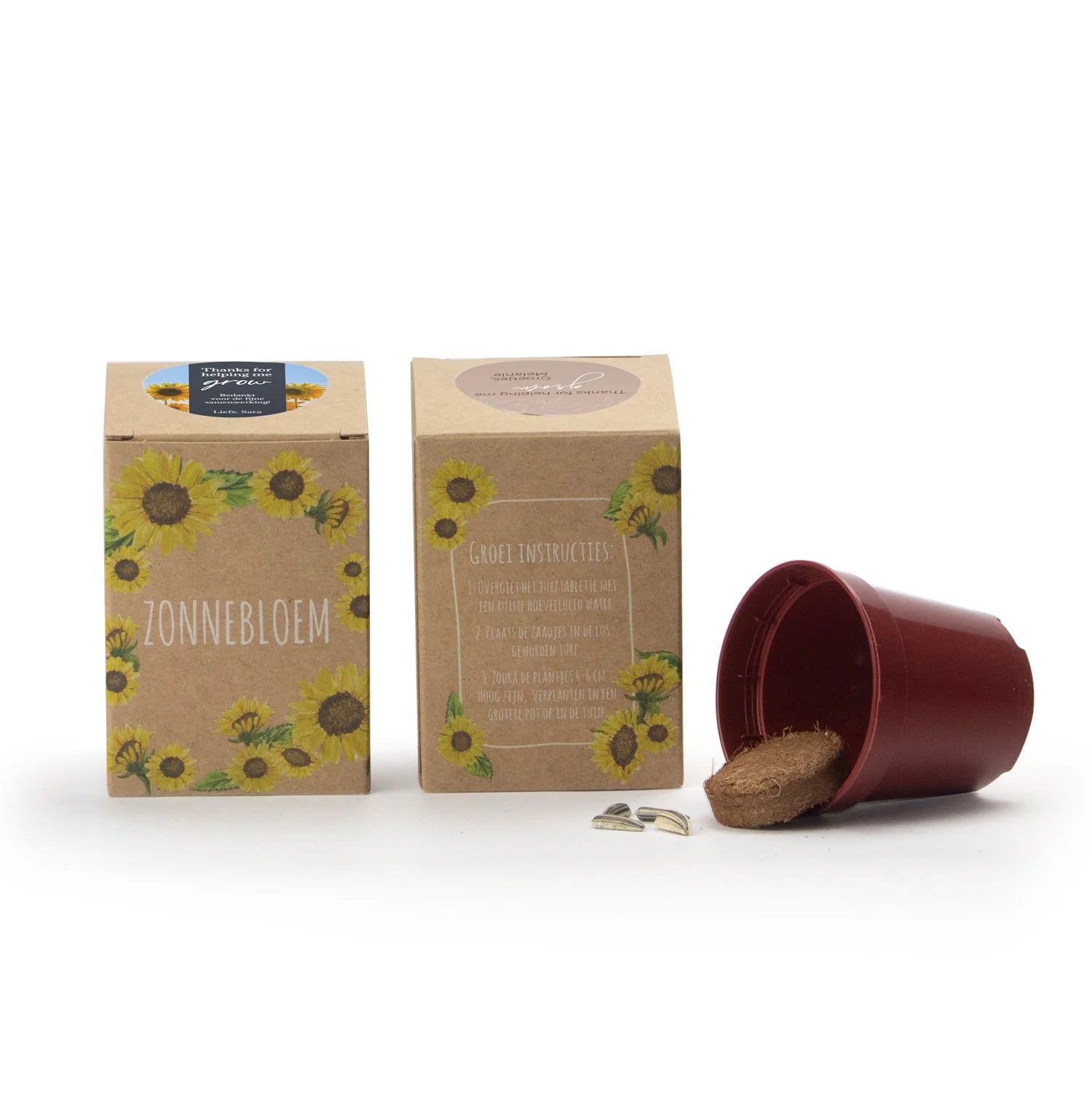 Zonnebloem kweekset met eigen etiket - Collega - Bedankjes.nl
