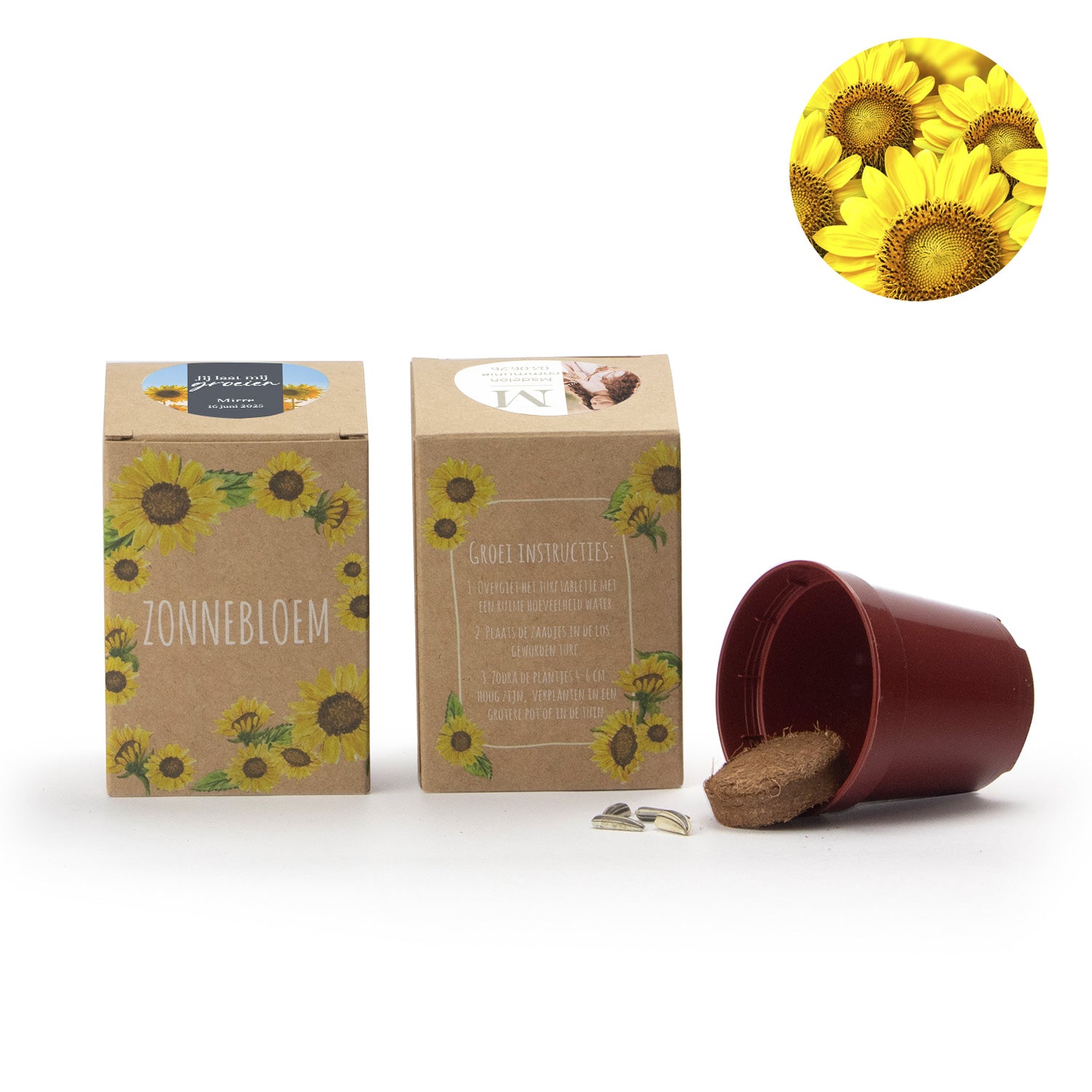 Zonnebloem kweekset met eigen etiket - Communie meisje - Bedankjes.nl