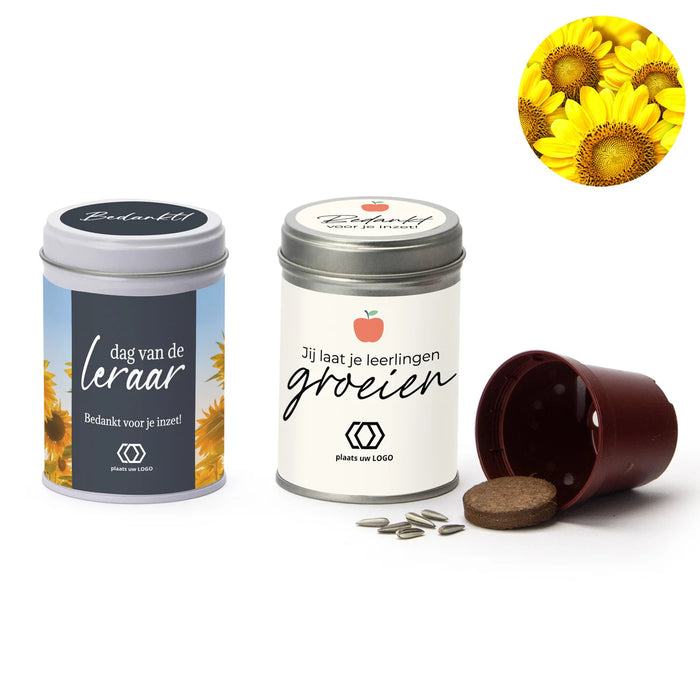 Zonnebloem kweeksetje met eigen wikkel - Leraar Zonnebloem kweeksetje met eigen wikkel - Leraar