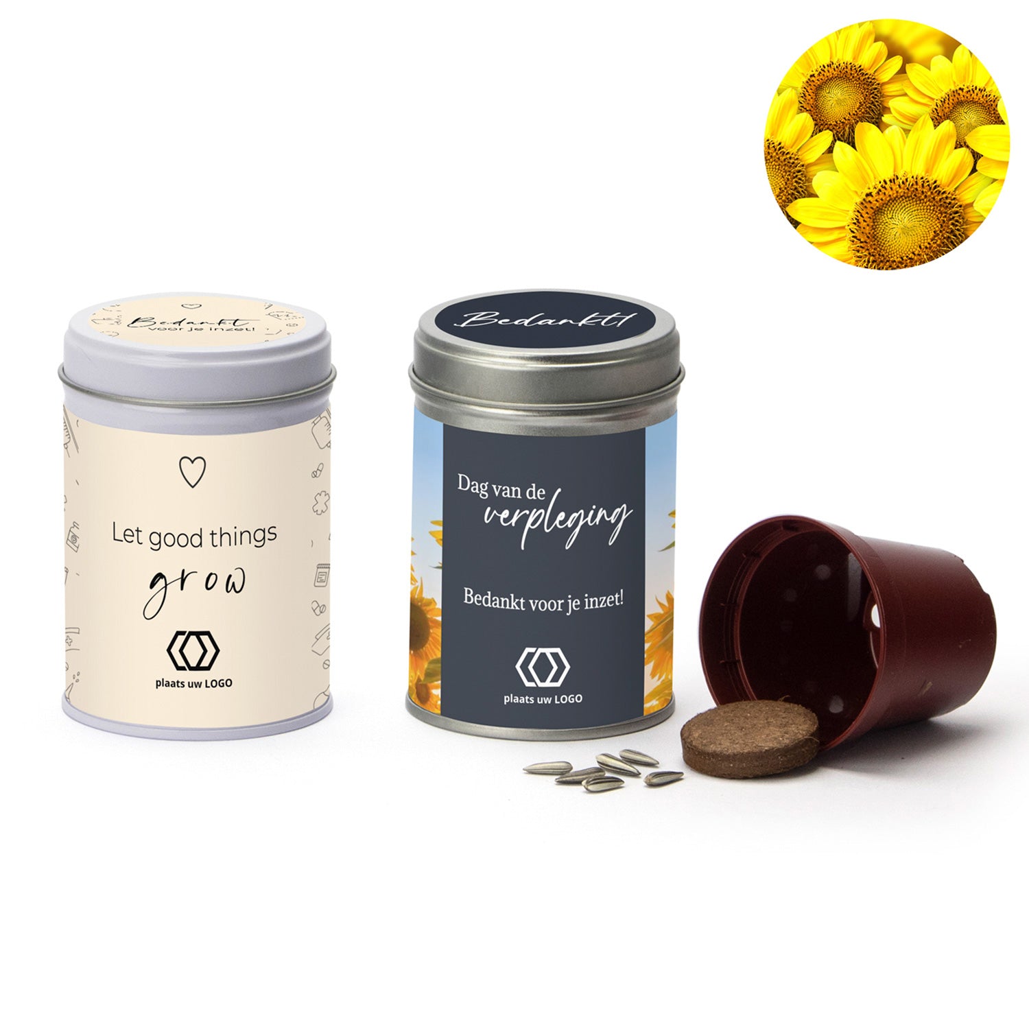 Zonnebloem kweeksetje met eigen wikkel - Verpleging - Bedankjes.nl
