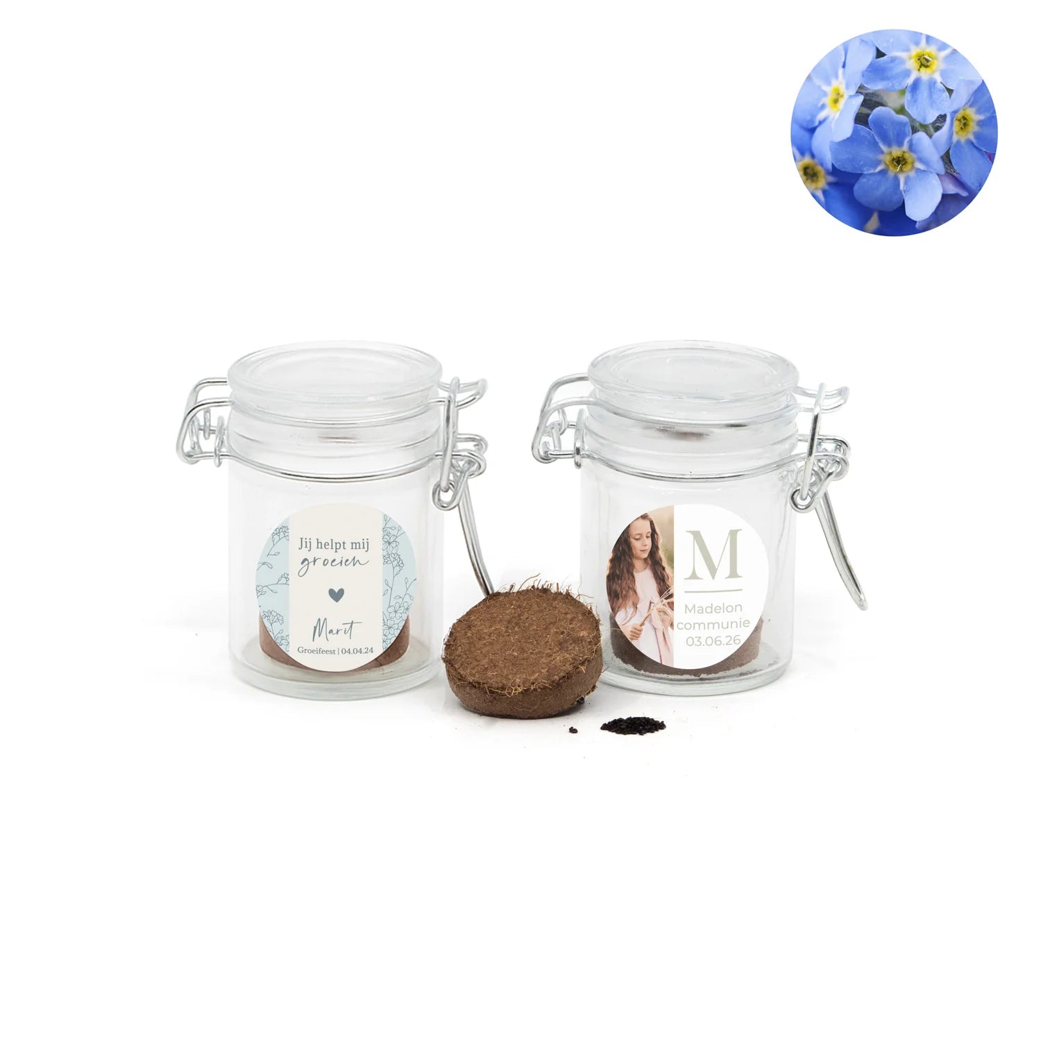 Vergeet me nietjes kweeksetje in mini weckpotje - Communie meisjes - Bedankjes.nl