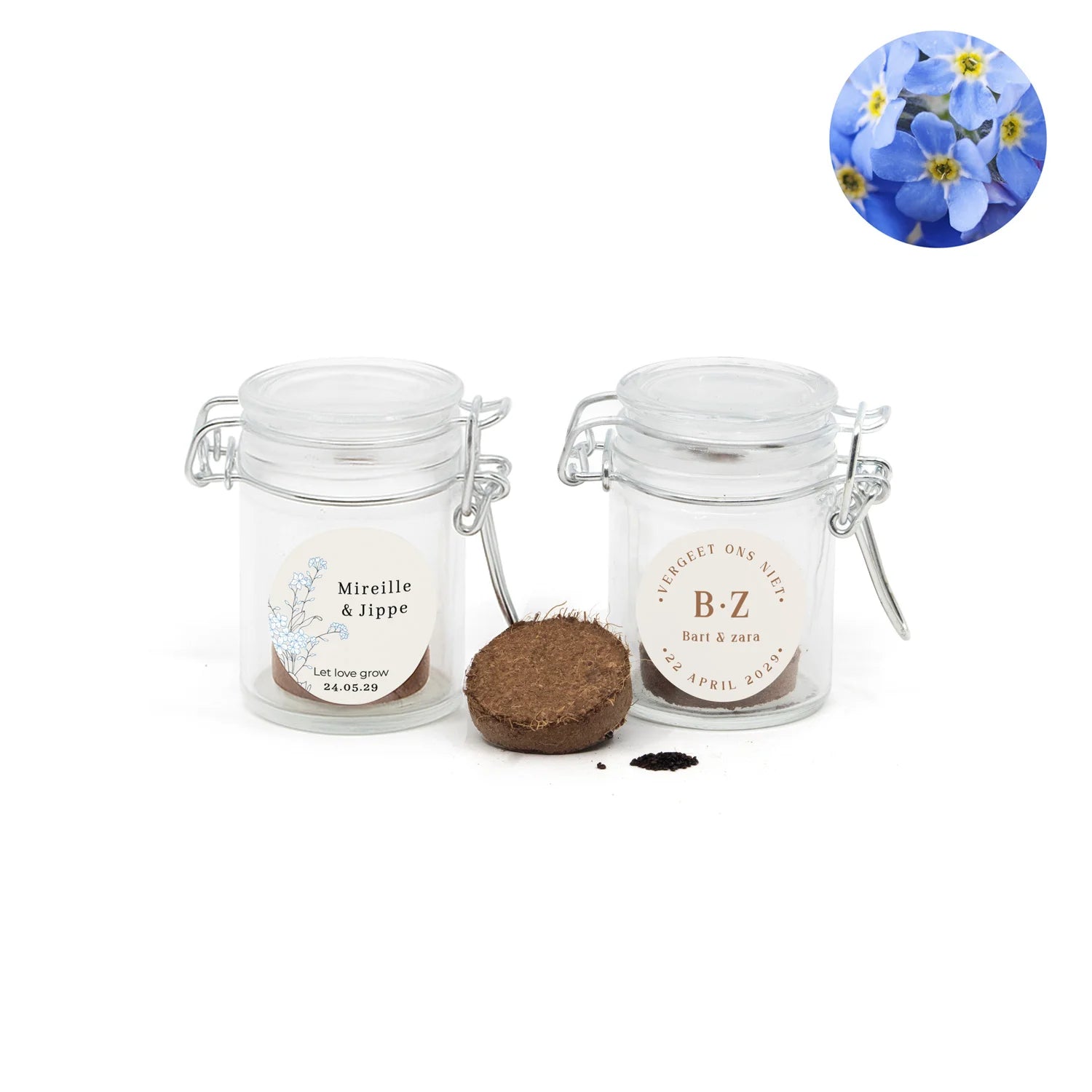 Vergeet me nietjes kweeksetje in mini weckpotje - Trouwen - Bedankjes.nl