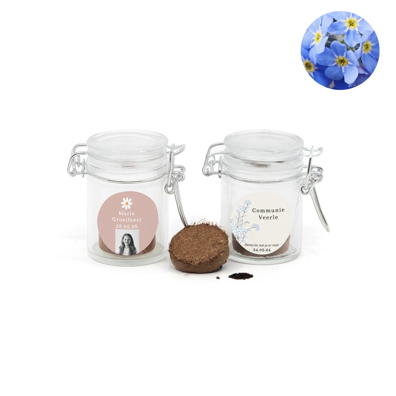 Vergeet me nietjes kweeksetje in mini weckpotje - Communie meisjes - Bedankjes.nl