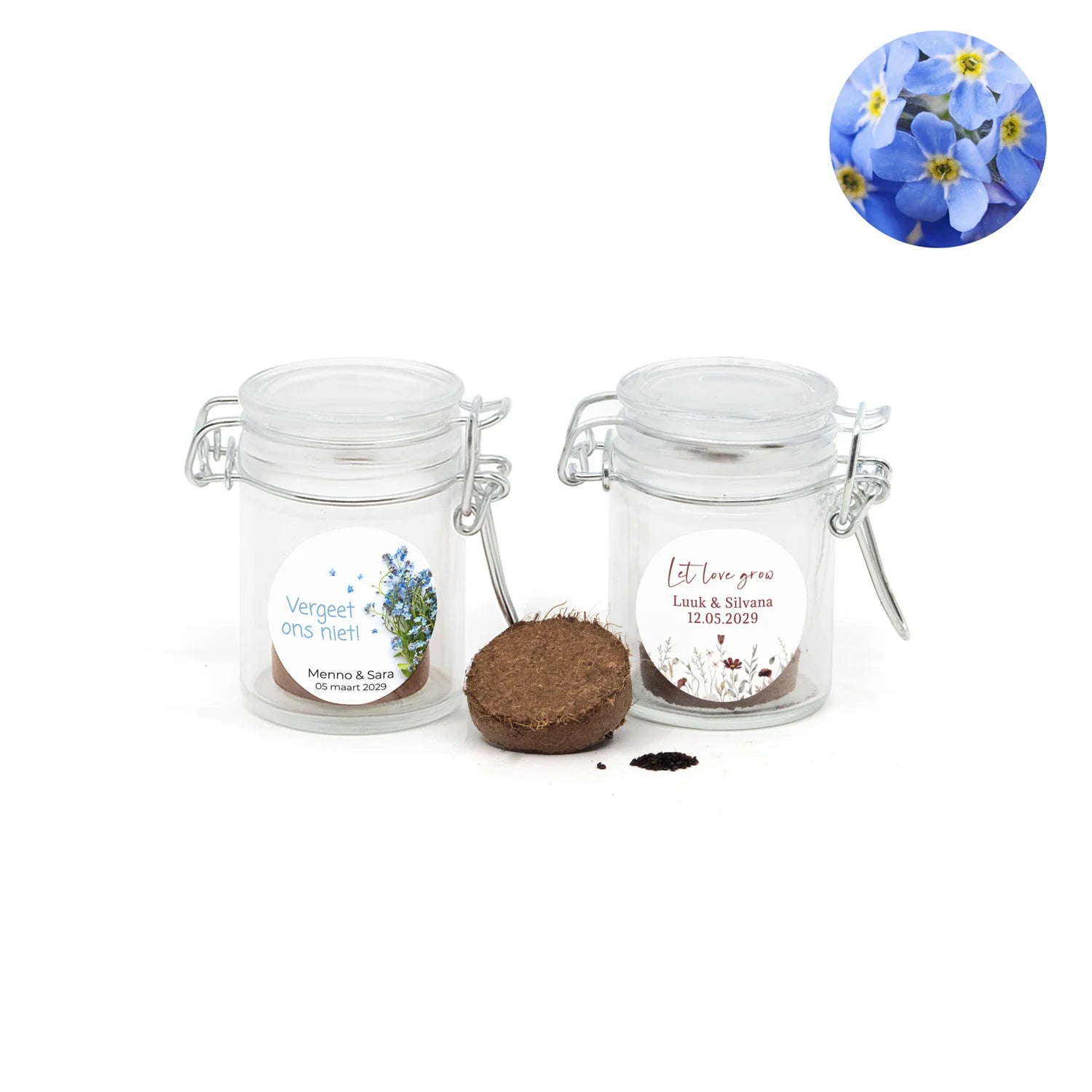 Vergeet me nietjes kweeksetje in mini weckpotje - Trouwen - Bedankjes.nl
