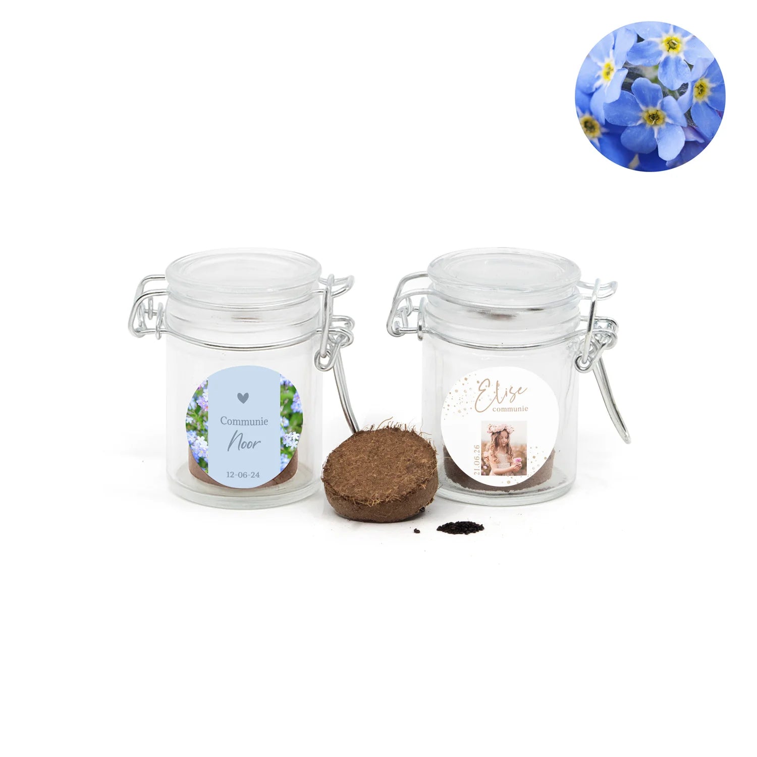 Vergeet me nietjes kweeksetje in mini weckpotje - Communie meisjes - Bedankjes.nl