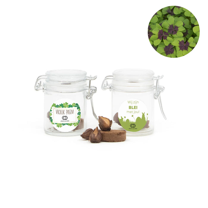 Geluksklaver kweeksetje in mini weckpotje - Pasen Geluksklaver kweeksetje in mini weckpotje - Pasen