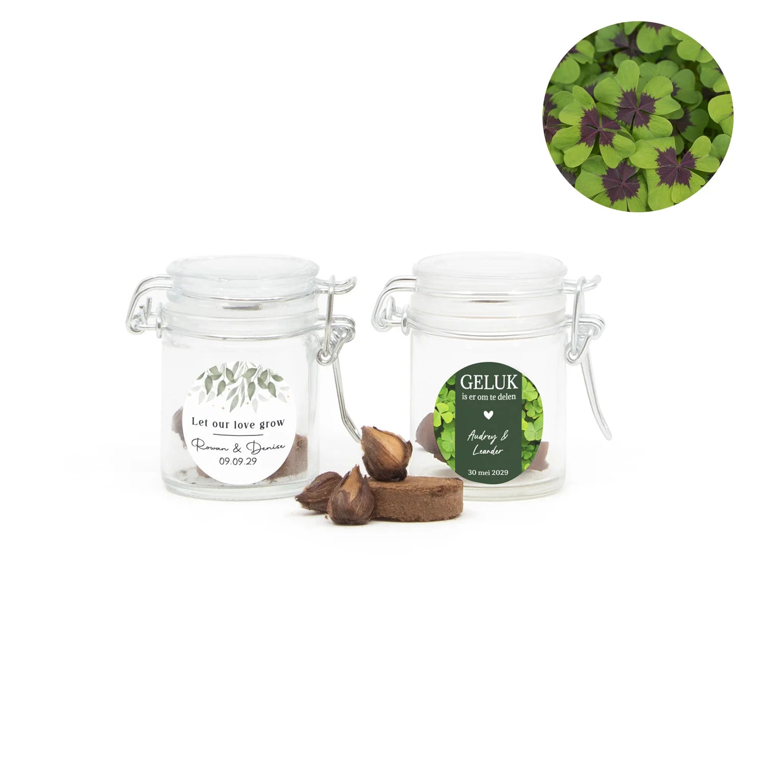 Geluksklaver kweeksetje in mini weckpotje - Trouwen - Bedankjes.nl