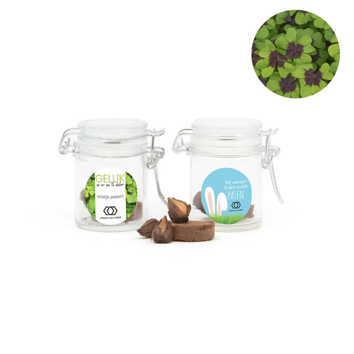 Geluksklaver kweeksetje in mini weckpotje - Pasen Geluksklaver kweeksetje in mini weckpotje - Pasen