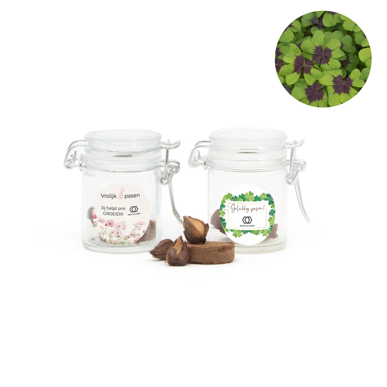 Geluksklaver kweeksetje in mini weckpotje - Pasen - Bedankjes.nl