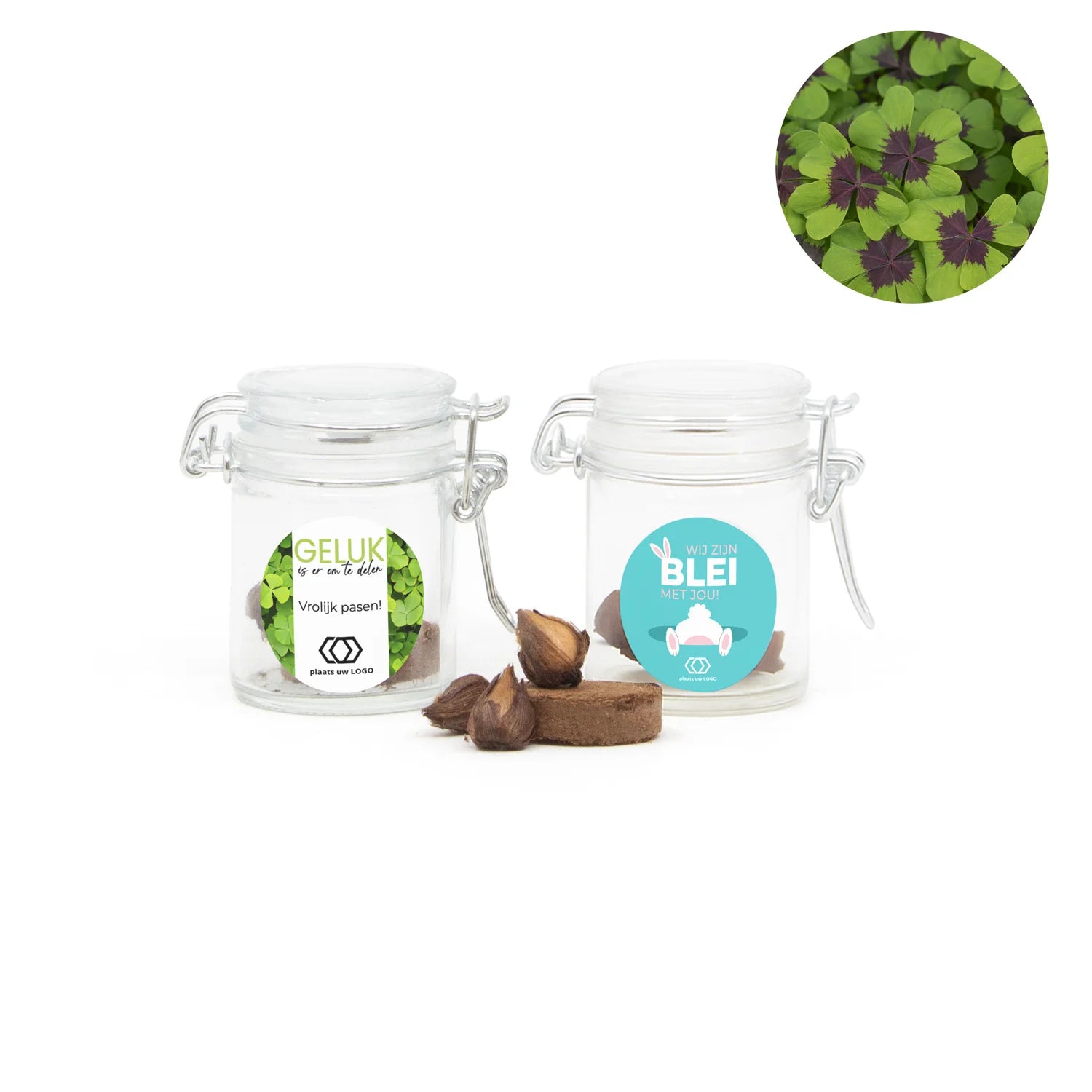 Geluksklaver kweeksetje in mini weckpotje - Pasen - Bedankjes.nl