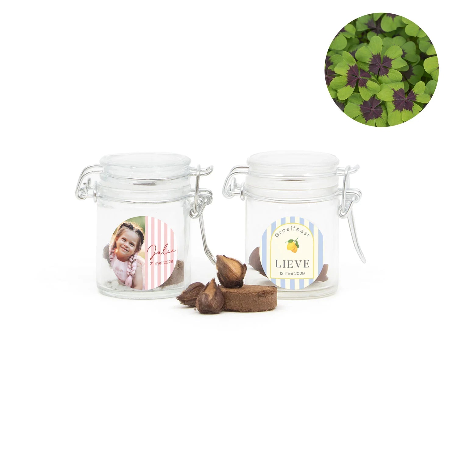 Vergeet me nietjes kweeksetje in mini weckpotje - Communie meisjes