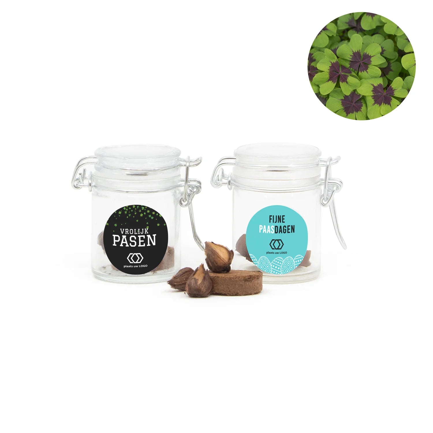 Geluksklaver kweeksetje in mini weckpotje - Pasen - Bedankjes.nl