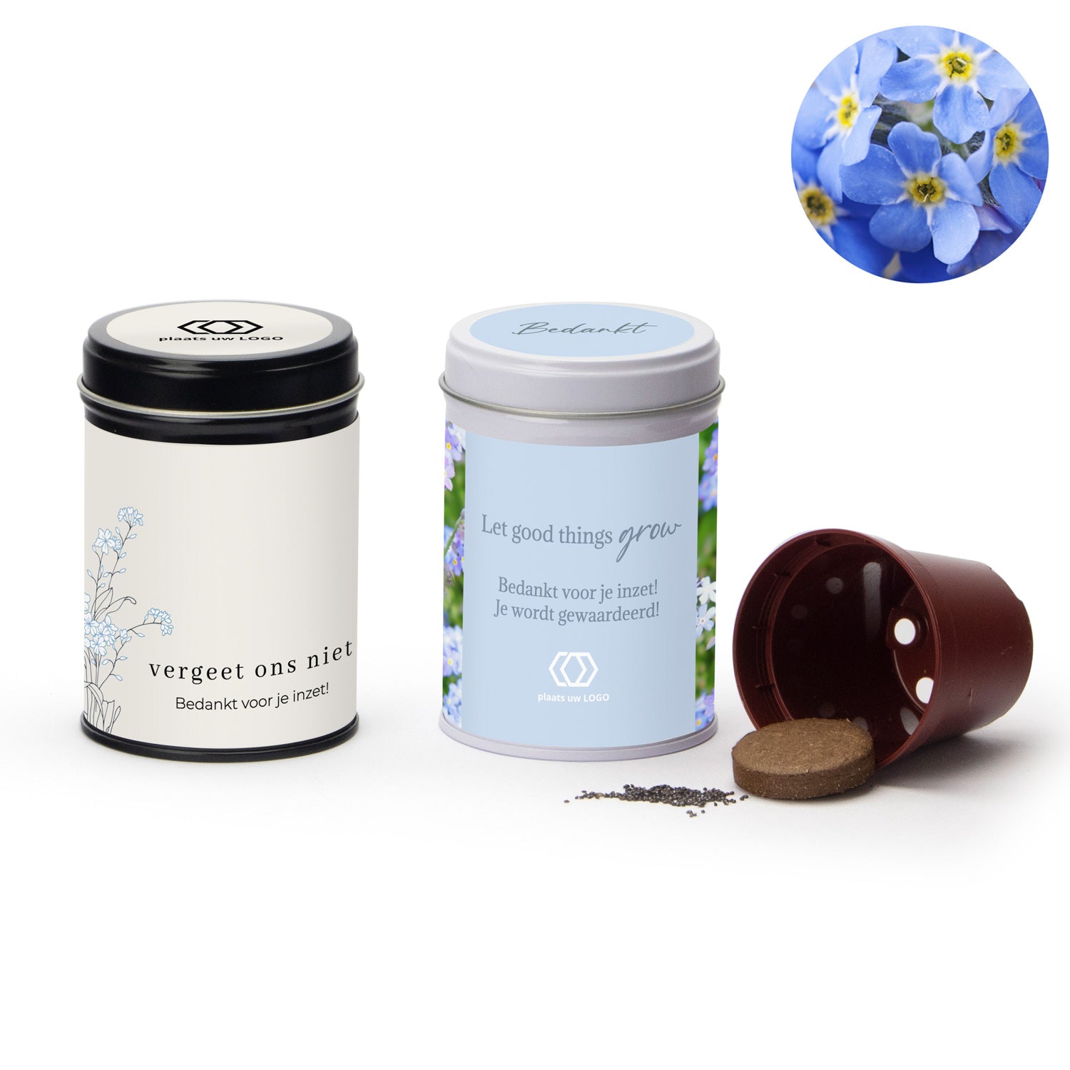 Vergeet mij nietjes met eigen wikkel - Zakelijk - Bedankjes.nl