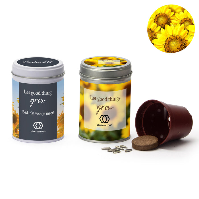 Zonnebloem kweeksetje met eigen wikkel - Zakelijk Zonnebloem kweeksetje met eigen wikkel - Zakelijk