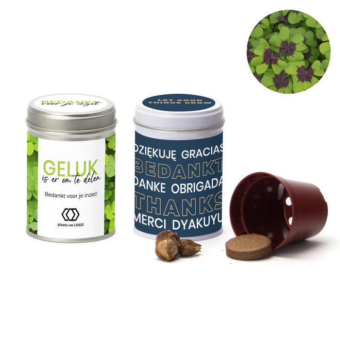 Klavertje vier kweeksetje in blikje - Zakelijk