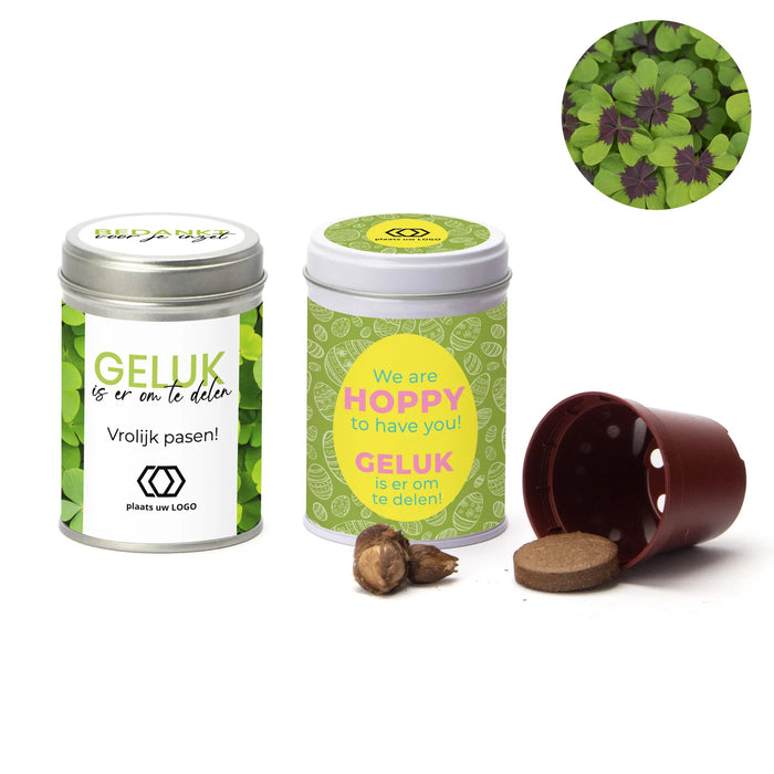 Klavertje vier kweeksetje in blikje - Pasen