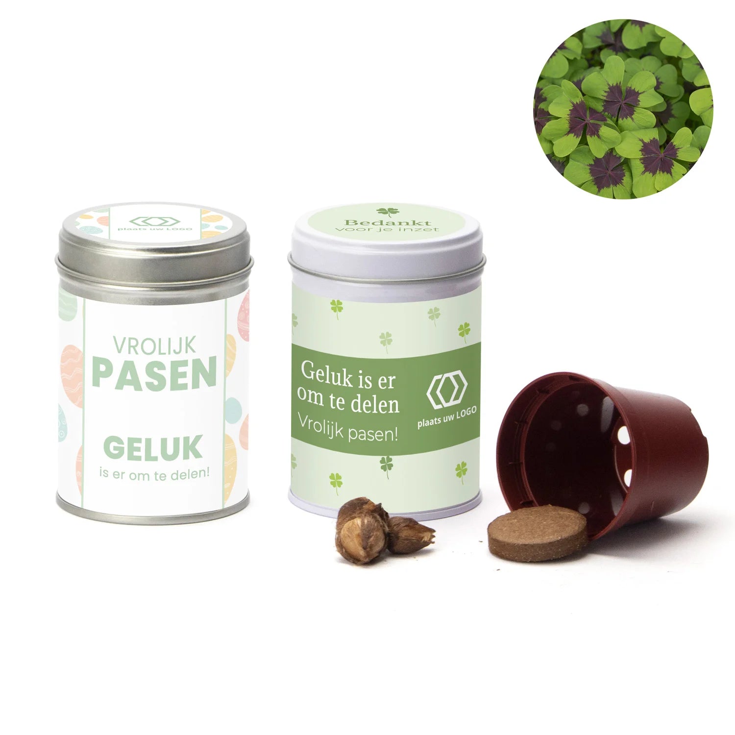 Klavertje vier kweeksetje in blikje - Pasen - Bedankjes.nl