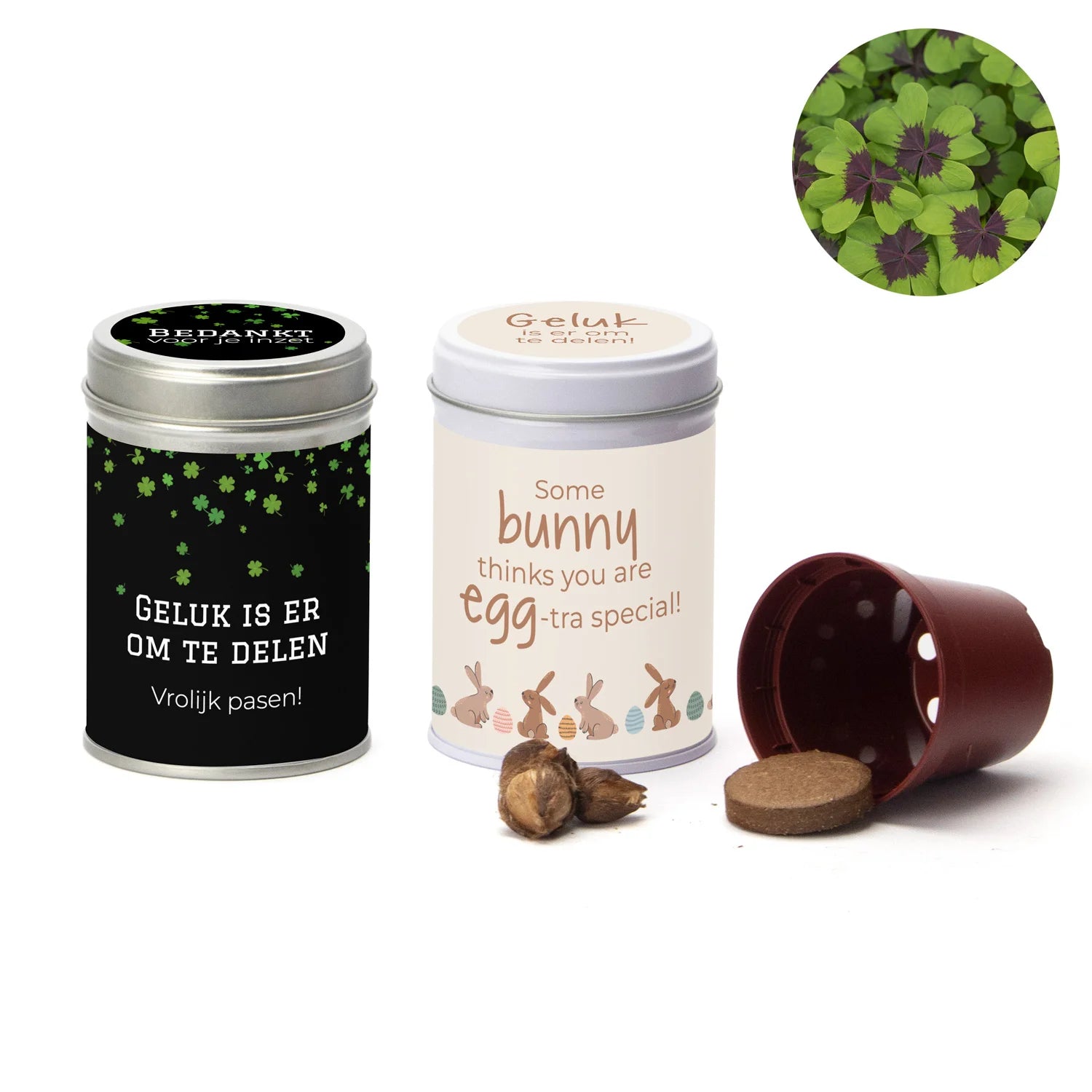 Klavertje vier kweeksetje in blikje - Pasen - Bedankjes.nl