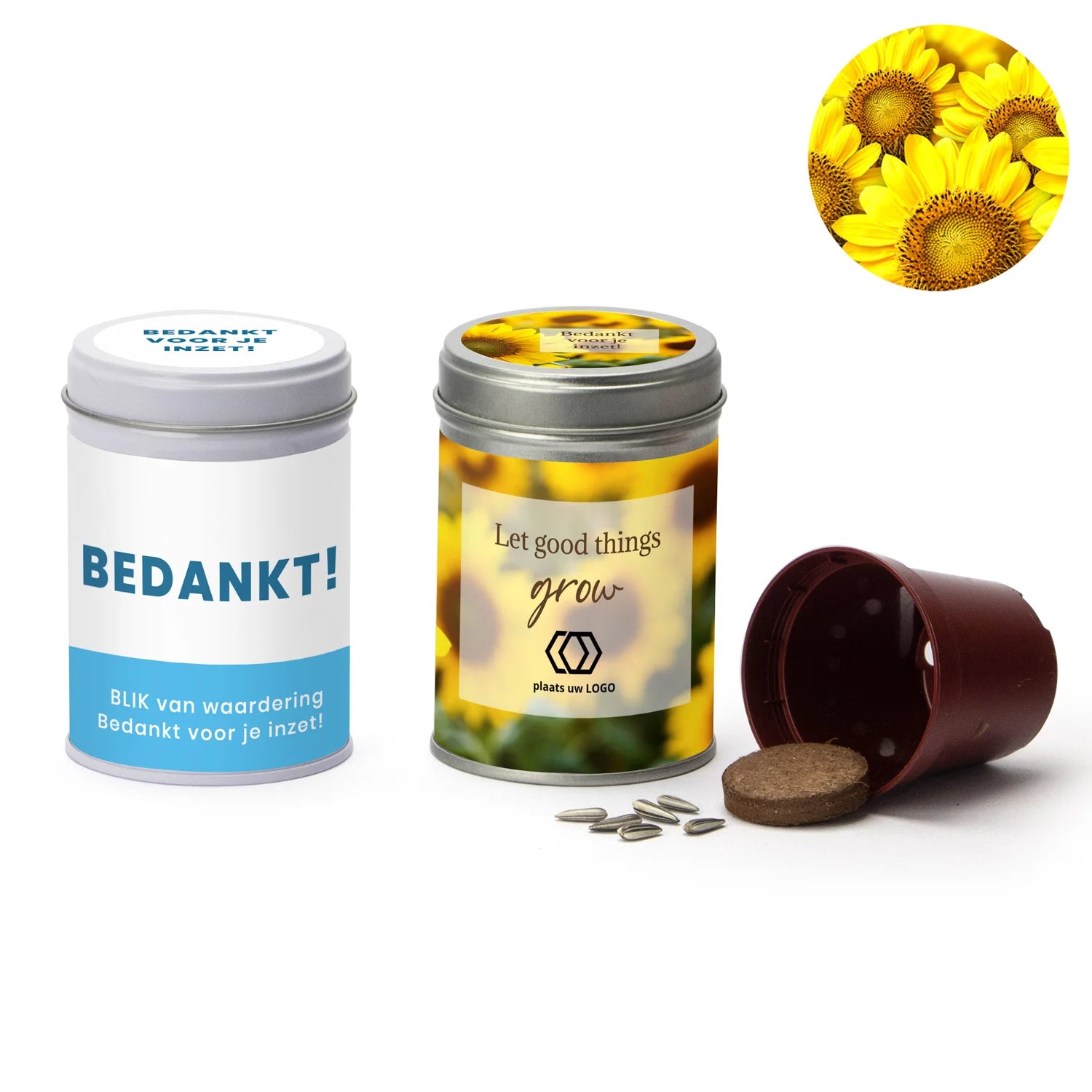 Zonnebloem kweeksetje met eigen wikkel - Zakelijk