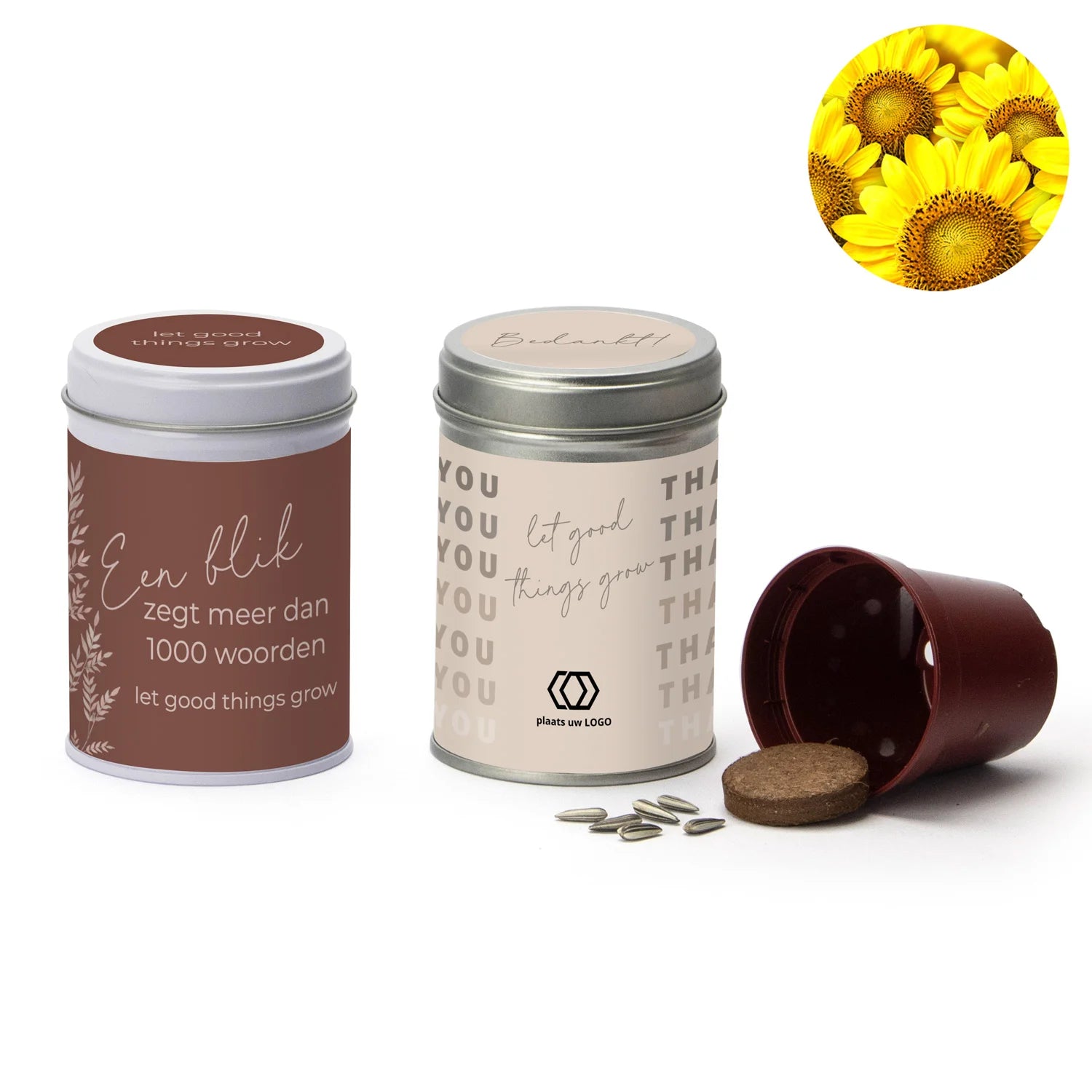 Zonnebloem kweeksetje met eigen wikkel - Zakelijk