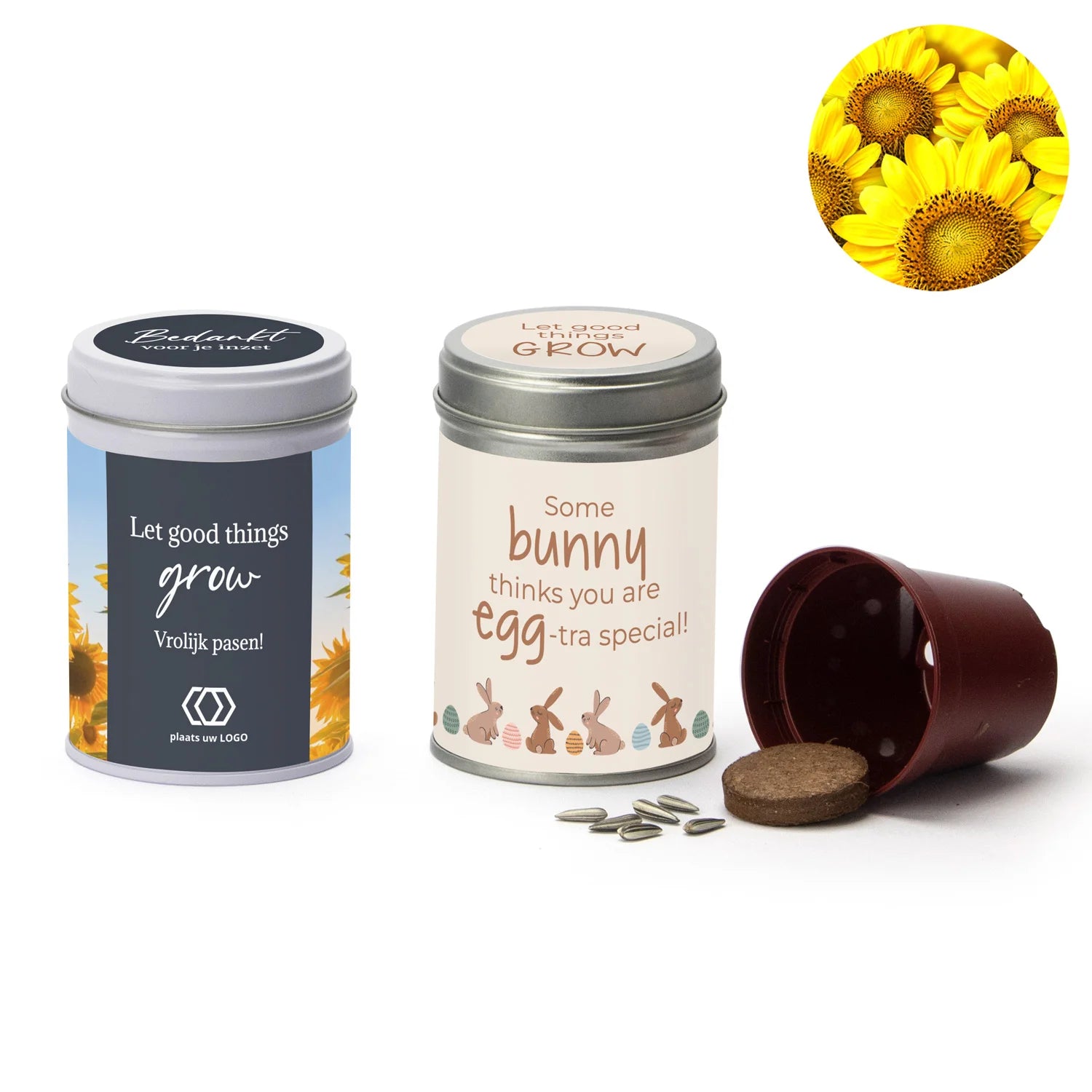 Zonnebloem kweeksetje met eigen wikkel - Pasen - Bedankjes.nl