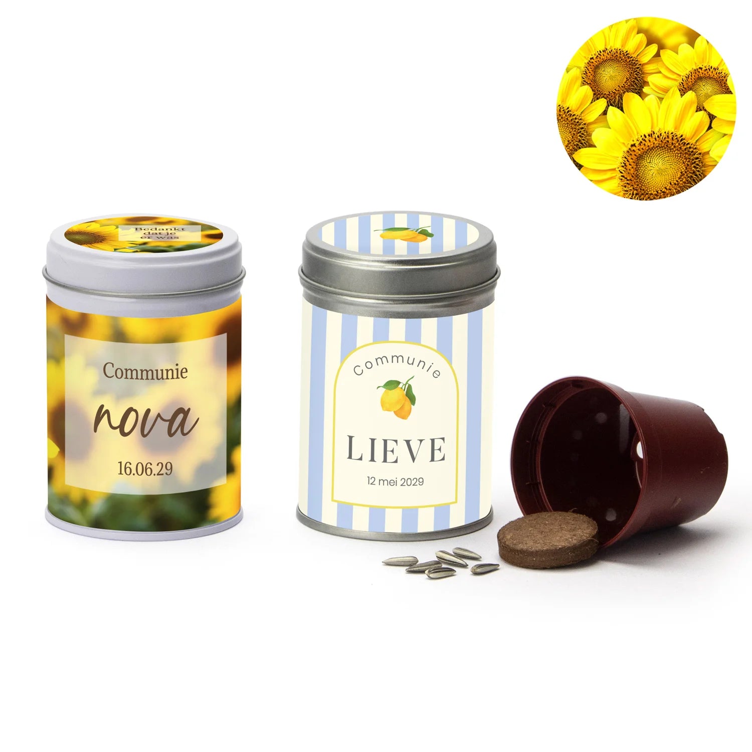 Zonnebloem in blikje - Communie meisjes