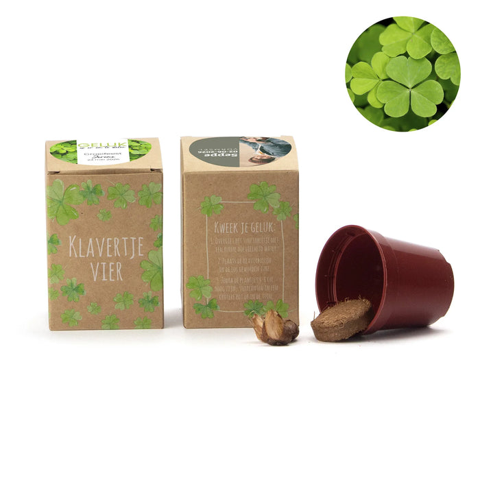 Klavertje vier kweekset met eigen etiket - Communie jongen