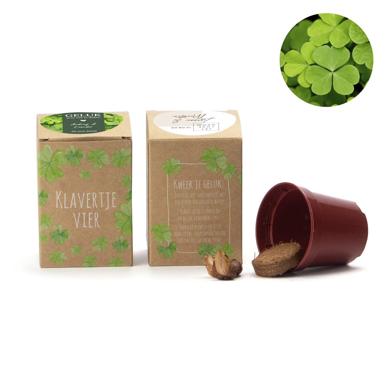 Klavertje vier kweekset met eigen etiket - Trouwen - Bedankjes.nl